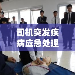 司機突發疾病應急處理,公眾關注與行車安全須知