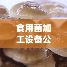 食用菌加工設(shè)備公司排行榜及行業(yè)影響力解析