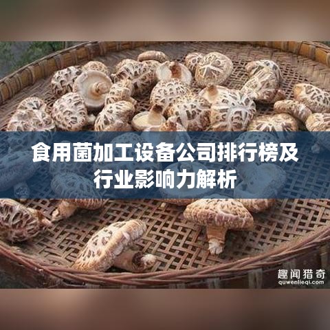 食用菌加工設(shè)備公司排行榜及行業(yè)影響力解析