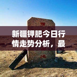 新疆鉀肥今日行情走勢分析,最新價格動態揭秘