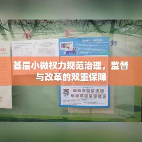 基層小微權力規范治理,監督與改革的雙重保障