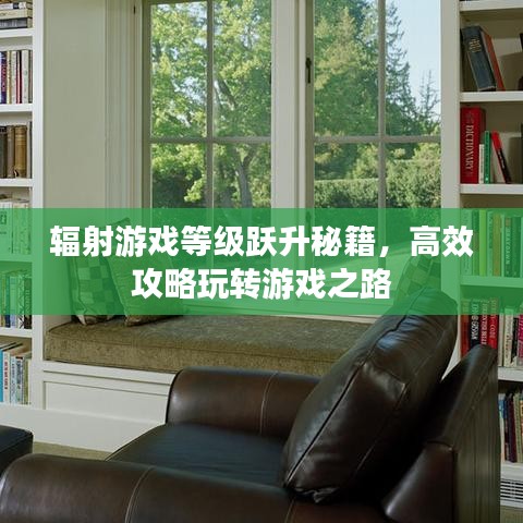 輻射游戲等級(jí)躍升秘籍,高效攻略玩轉(zhuǎn)游戲之路