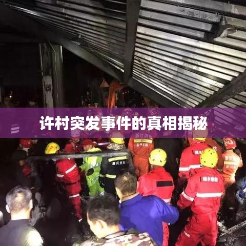 許村突發事件的真相揭秘