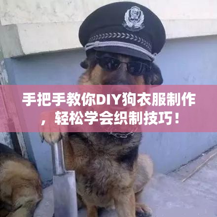手把手教你DIY狗衣服制作,輕松學會織制技巧!