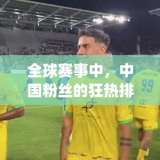 全球賽事中,中國粉絲的狂熱排名揭秘!