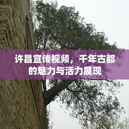 許昌宣傳視頻,千年古都的魅力與活力展現(xiàn)