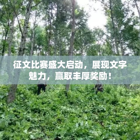 征文比賽盛大啟動,展現文字魅力,贏取豐厚獎勵!