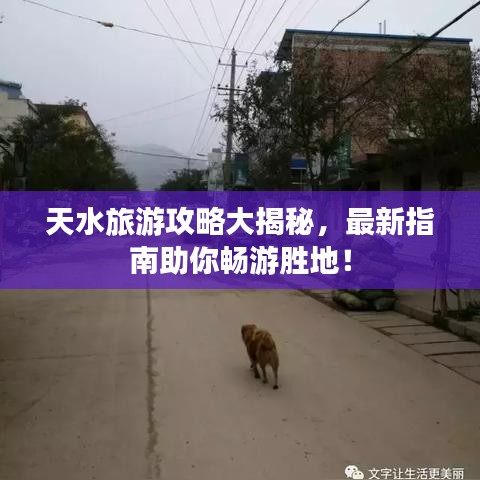 天水旅游攻略大揭秘，最新指南助你暢游勝地！