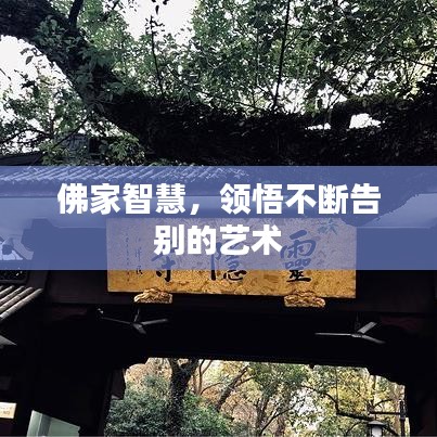 佛家智慧,領(lǐng)悟不斷告別的藝術(shù)