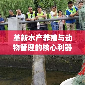 革新水產(chǎn)養(yǎng)殖與動物管理的核心利器，新型高效智能地籠