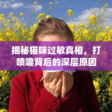 揭秘貓咪過敏真相,打噴嚏背后的深層原因!