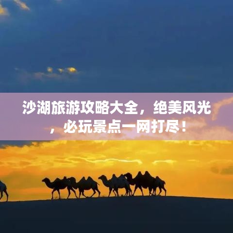 沙湖旅游攻略大全，絕美風(fēng)光，必玩景點(diǎn)一網(wǎng)打盡！