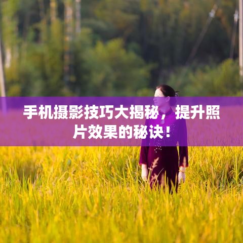 手機攝影技巧大揭秘,提升照片效果的秘訣!