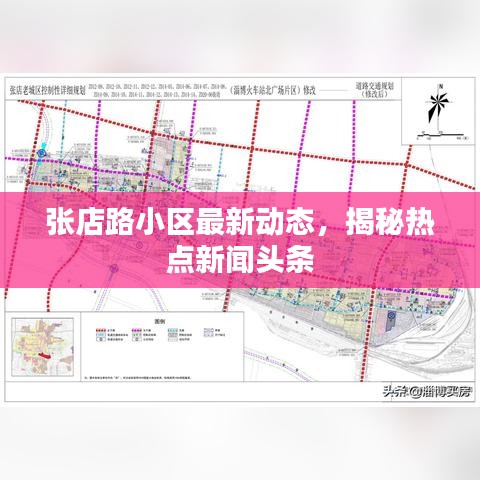 張店路小區最新動態，揭秘熱點新聞頭條