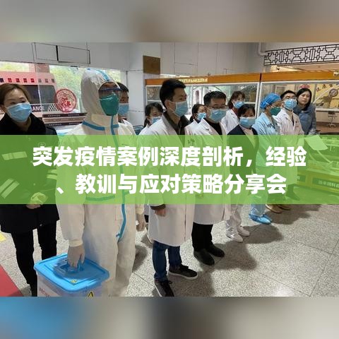突發疫情案例深度剖析,經驗、教訓與應對策略分享會