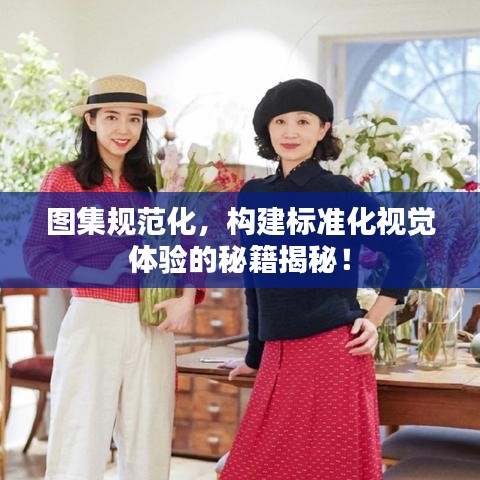 圖集規范化,構建標準化視覺體驗的秘籍揭秘!