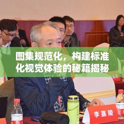 圖集規范化,構建標準化視覺體驗的秘籍揭秘!