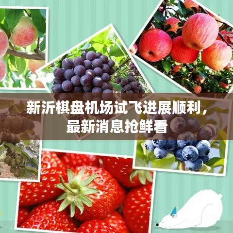 新沂棋盤機場試飛進展順利,最新消息搶鮮看