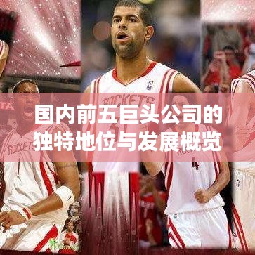 國內前五巨頭公司的獨特地位與發展概覽