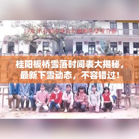 桂陽板橋雪落時間表大揭秘，最新下雪動態，不容錯過！