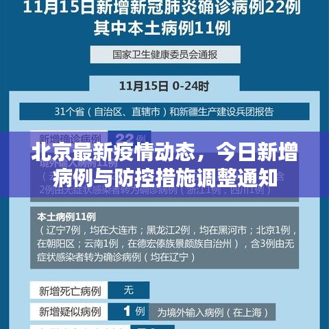 北京最新疫情動態,今日新增病例與防控措施調整通知