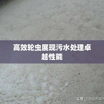 高效輪蟲展現污水處理卓越性能