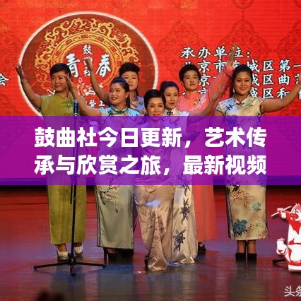 鼓曲社今日更新,藝術傳承與欣賞之旅,最新視頻下載大放送!