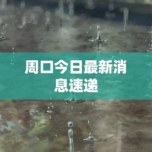 周口今日最新消息速遞