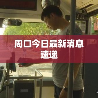 周口今日最新消息速遞