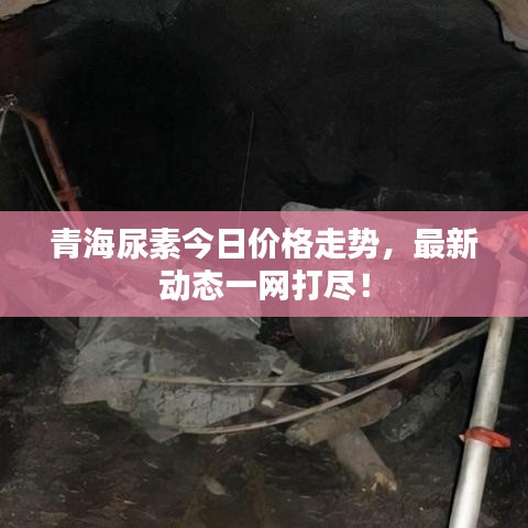 青海尿素今日價格走勢,最新動態一網打盡!