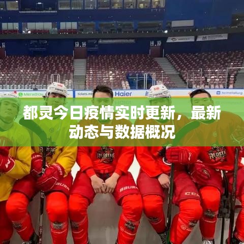 都靈今日疫情實時更新,最新動態與數據概況