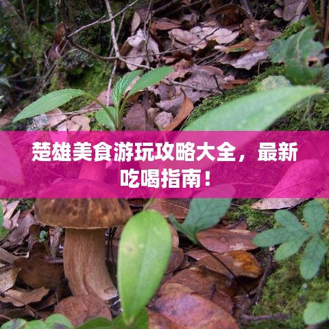 楚雄美食游玩攻略大全,最新吃喝指南!