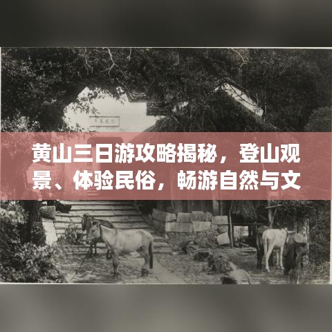 黃山三日游攻略揭秘,登山觀景、體驗民俗,暢游自然與文化的盛宴!