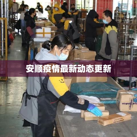 安順疫情最新動態更新