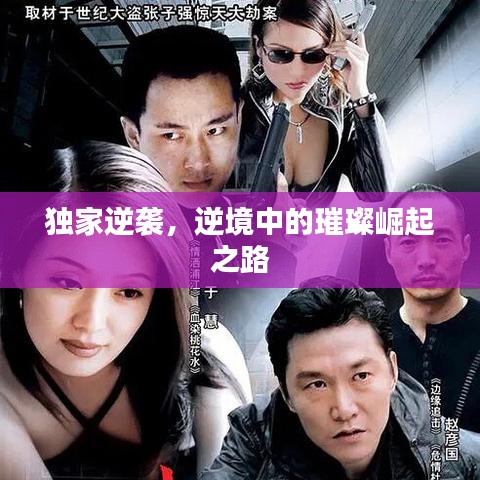 獨家逆襲,逆境中的璀璨崛起之路