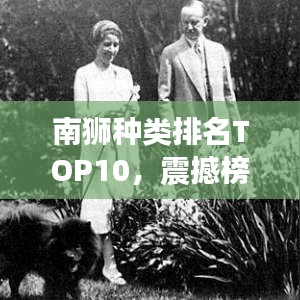 南獅種類排名TOP10，震撼榜單，不容錯過！