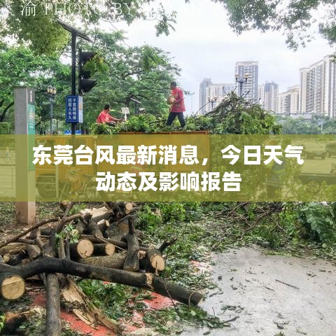 東莞臺風最新消息，今日天氣動態(tài)及影響報告