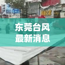 東莞臺風最新消息,今日天氣動態(tài)及影響報告