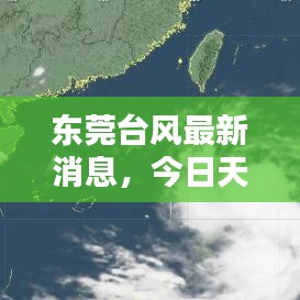 東莞臺風最新消息,今日天氣動態(tài)及影響報告