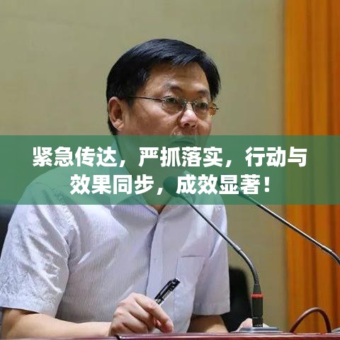 緊急傳達,嚴抓落實,行動與效果同步,成效顯著!