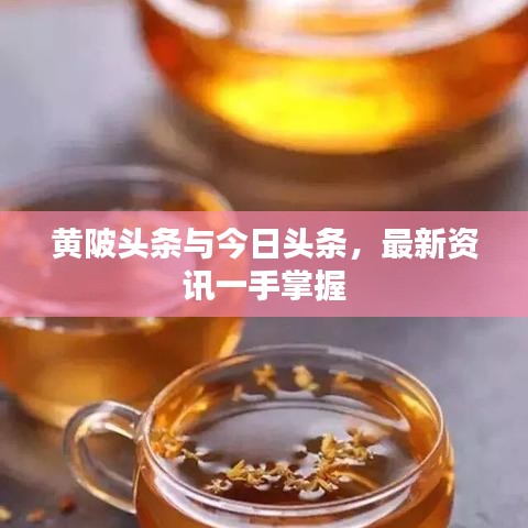 黃陂頭條與今日頭條,最新資訊一手掌握