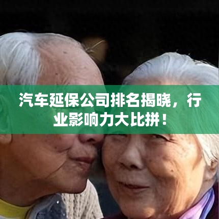 汽車延保公司排名揭曉,行業影響力大比拼!