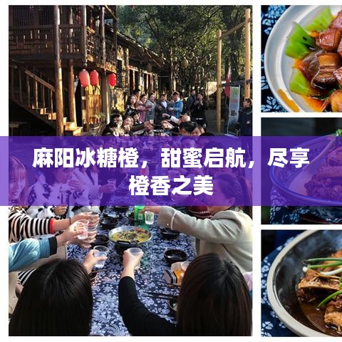 麻陽冰糖橙，甜蜜啟航，盡享橙香之美