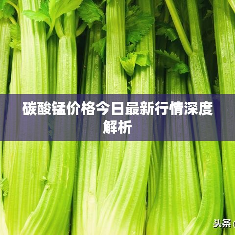 碳酸錳價格今日最新行情深度解析
