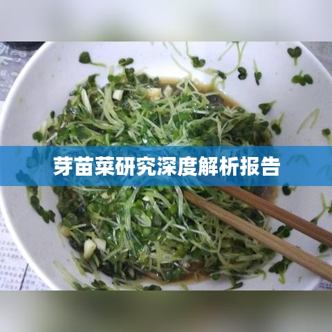 芽苗菜研究深度解析報告