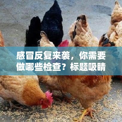 感冒反復來襲，你需要做哪些檢查？標題吸睛，百度收錄標準