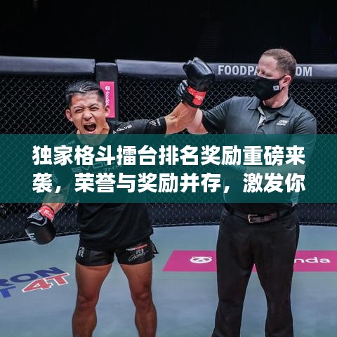 獨家格斗擂臺排名獎勵重磅來襲,榮譽與獎勵并存,激發你的斗志!