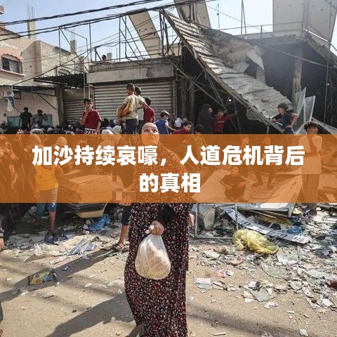 加沙持續哀嚎,人道危機背后的真相