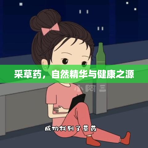 采草藥,自然精華與健康之源
