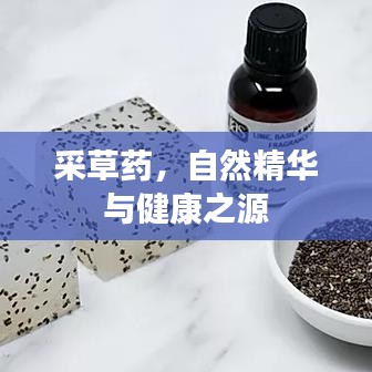 采草藥,自然精華與健康之源